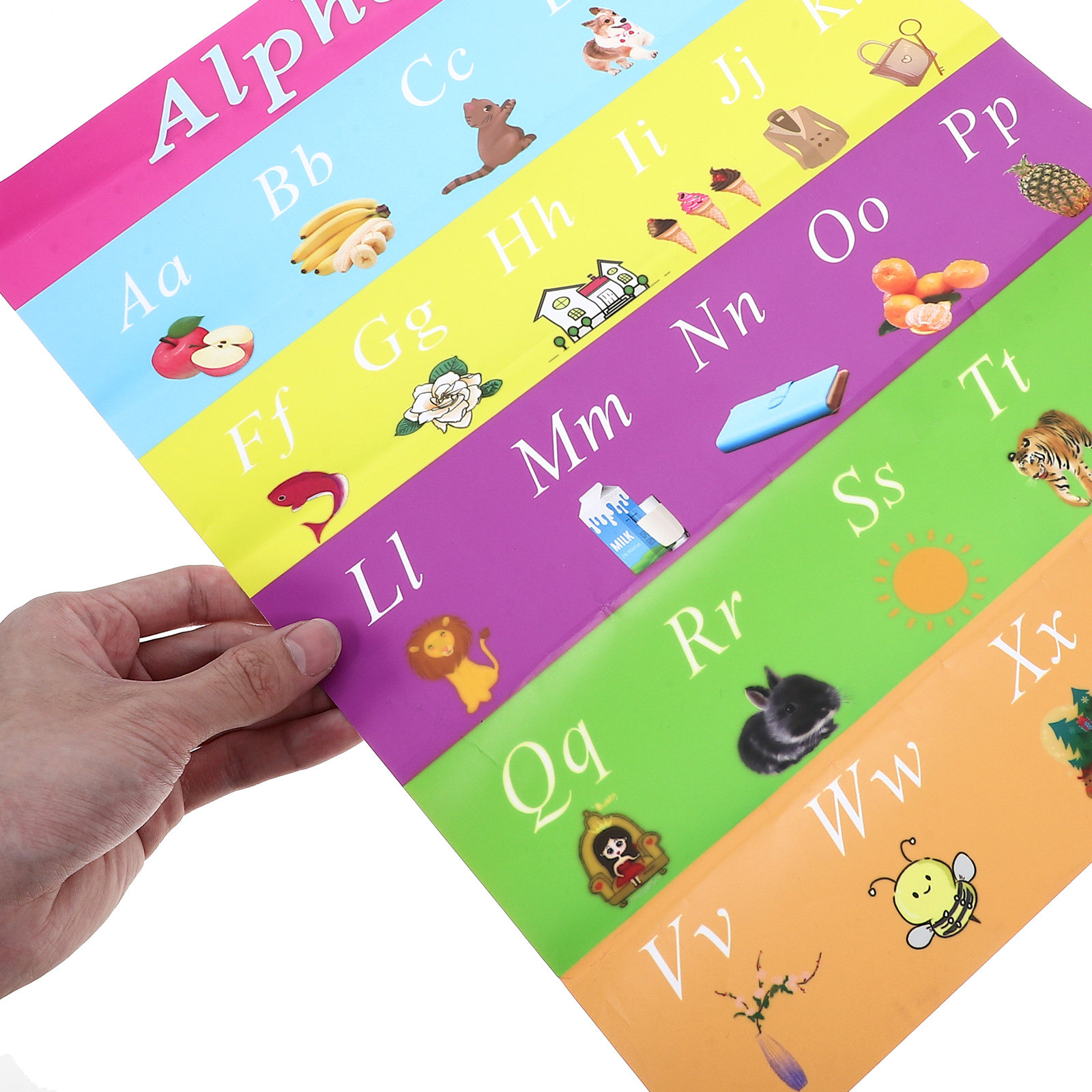 Póster Educativo Temprano con  - Kids Education Nursery reseña y precio