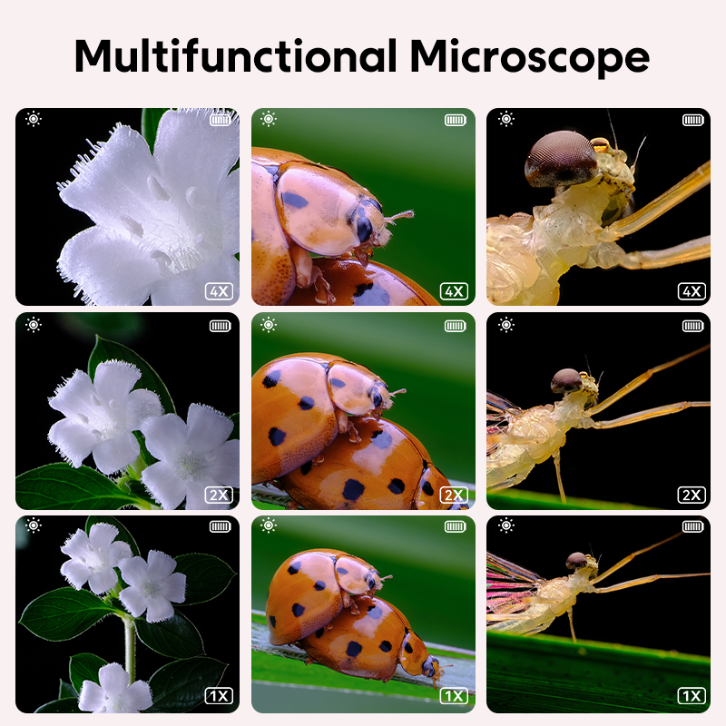 Mini microscopio óptico para n - Kids Education Video reseña y precio